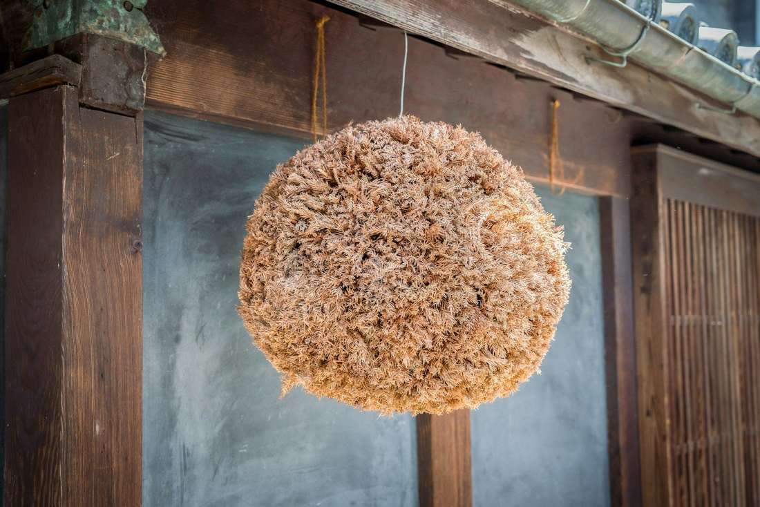 木造の軒先に吊るされた杉玉