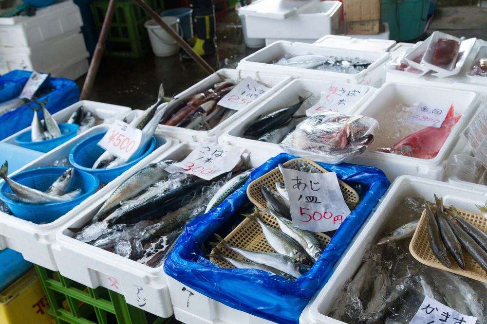 氷の上に並ぶ新鮮な魚