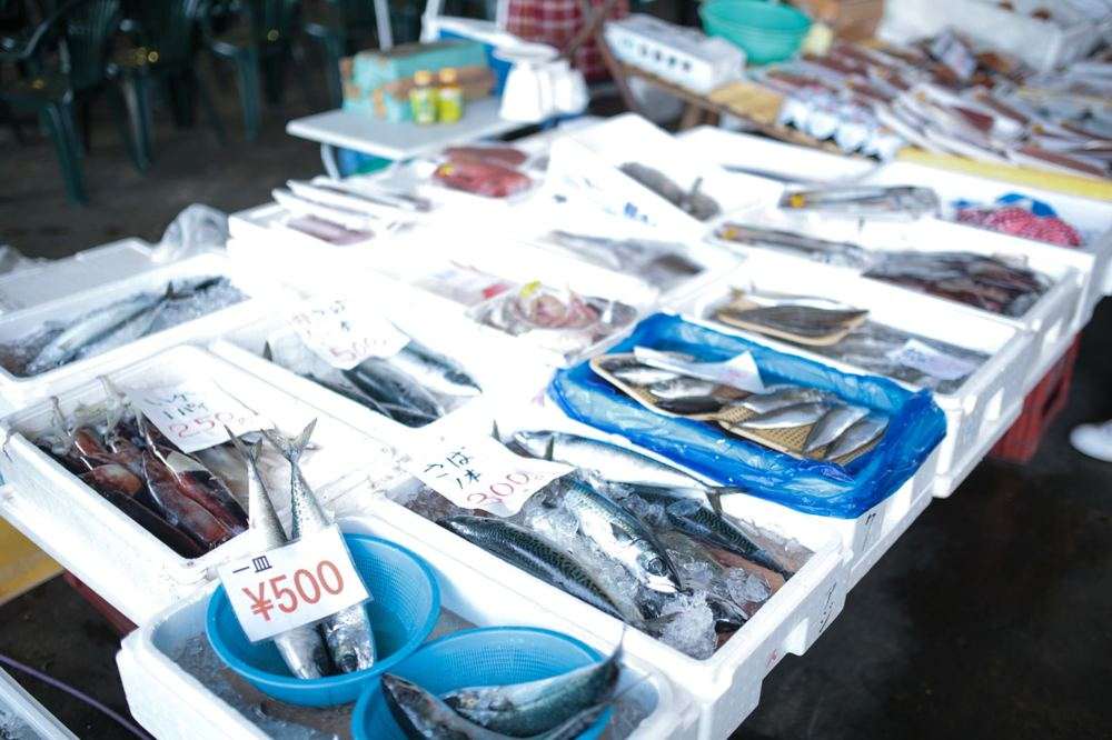 魚が並ぶ売り場